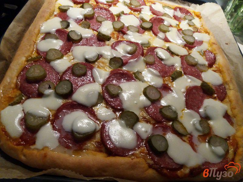 Фото приготовление рецепта: Пицца с салями и моцареллой шаг №9