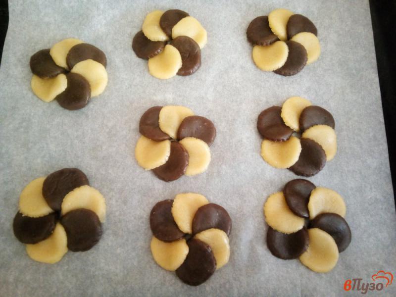 Фото приготовление рецепта: Песочное печенье на растительном масле шаг №7
