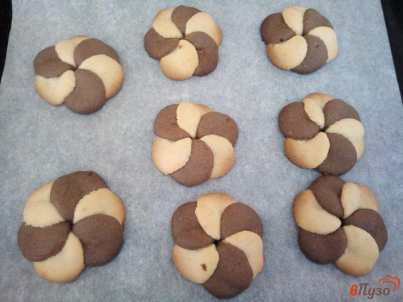 Фото приготовление рецепта: Песочное печенье на растительном масле шаг №8