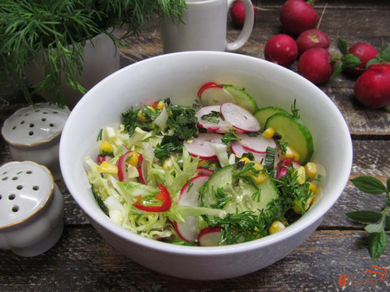Фото приготовление рецепта: Салат из молодой капусты с редисом и кукурузой шаг №7