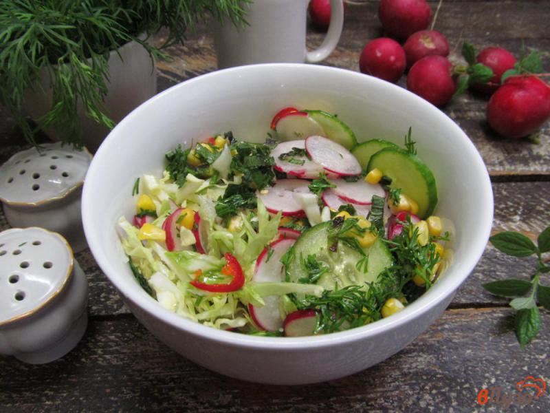 Фото приготовление рецепта: Салат из молодой капусты с редисом и кукурузой шаг №8