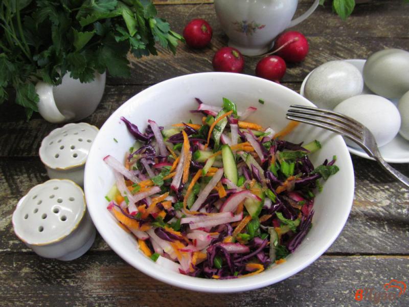 Фото приготовление рецепта: Салат из красной капусты с редиской и розмарином шаг №5