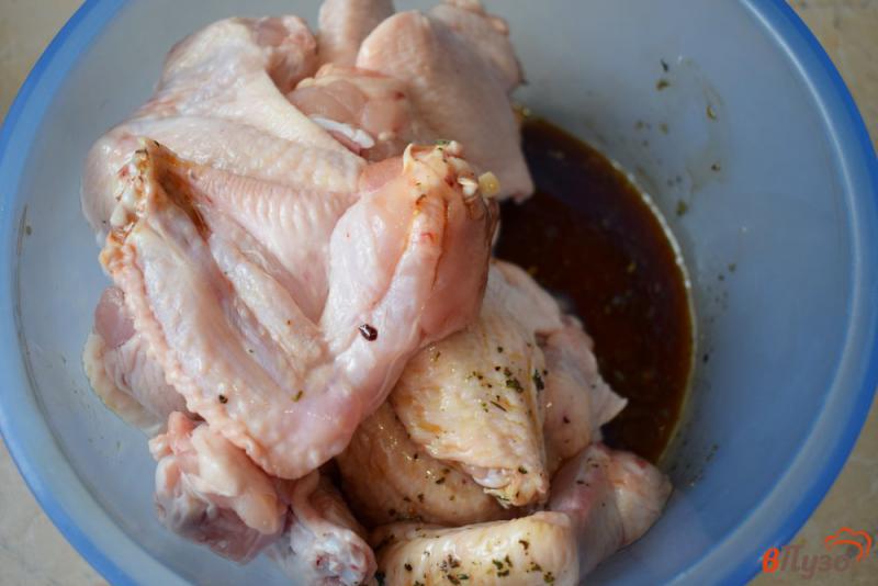 Фото приготовление рецепта: Куриные крылышки в соевом соусе шаг №2