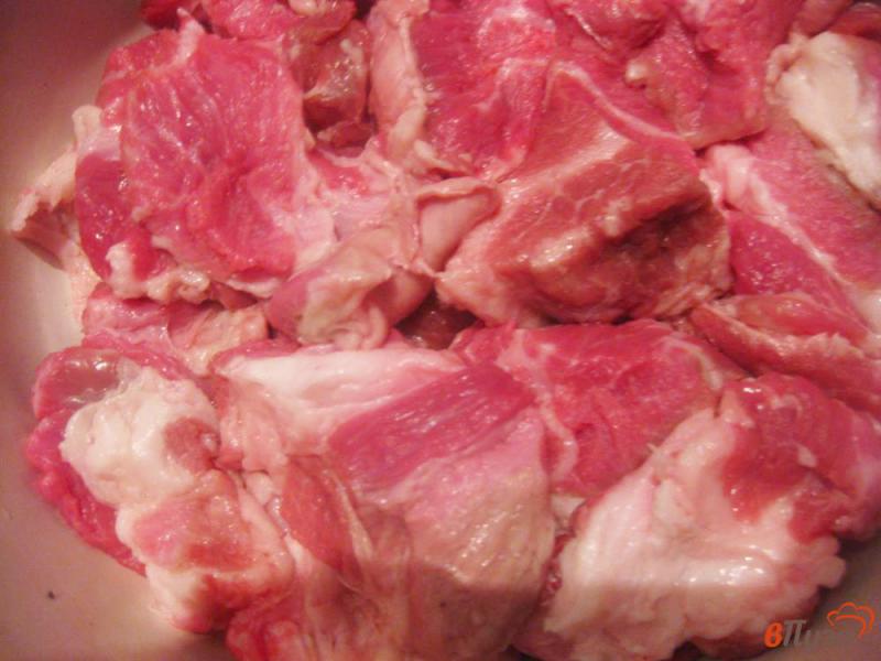 Фото приготовление рецепта: Шашлык из свинины в классическом маринаде шаг №1