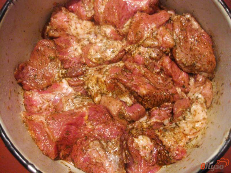 Фото приготовление рецепта: Шашлык из свинины в классическом маринаде шаг №3