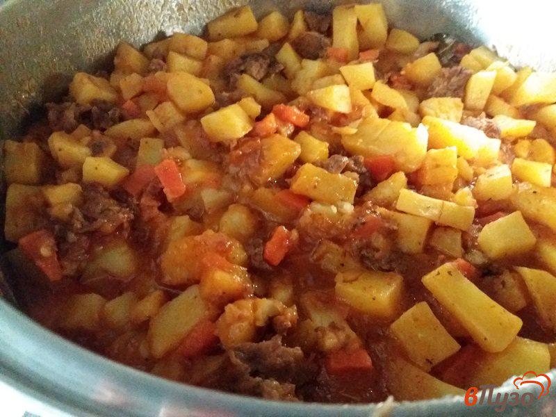 Фото приготовление рецепта: Тушеный картофель с говяжьей тушенкой шаг №9