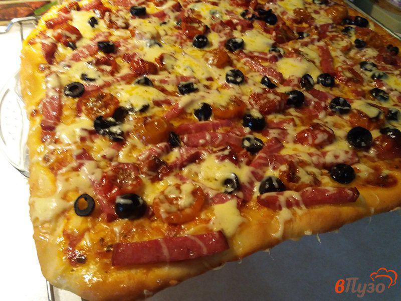 Фото приготовление рецепта: Пицца мясная с вялеными помидорами шаг №9