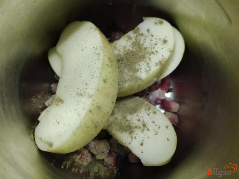 Фото приготовление рецепта: Чай с яблоком, гранатом, корицей и медом шаг №3