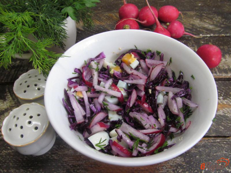 Фото приготовление рецепта: Салат из красной капусты с редисом шаг №4
