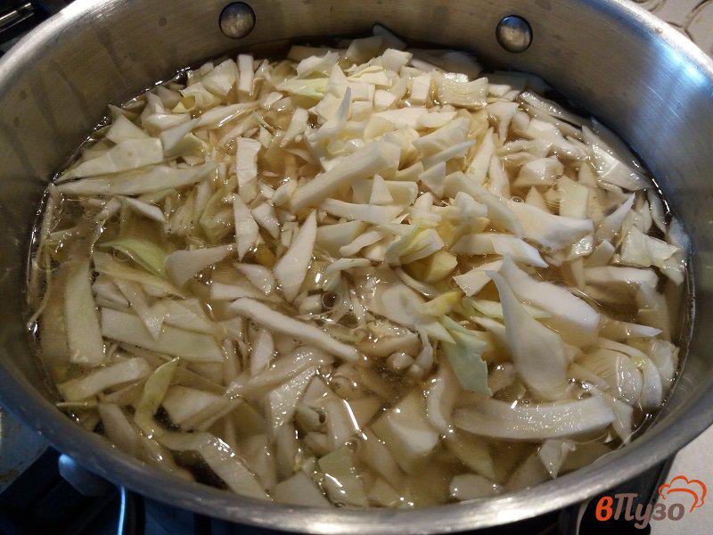 Фото приготовление рецепта: Щи из свежей капусты с томатно-чесночной заправкой шаг №3