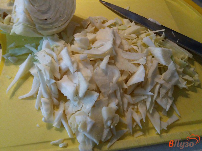 Фото приготовление рецепта: Щи из свежей капусты с томатно-чесночной заправкой шаг №2
