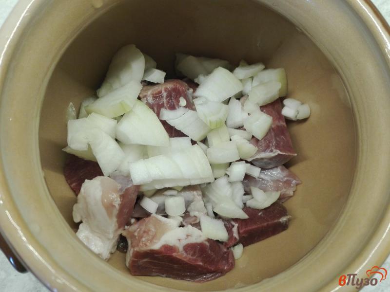 Фото приготовление рецепта: Жаркое из свинины с овощами и белыми грибами шаг №2