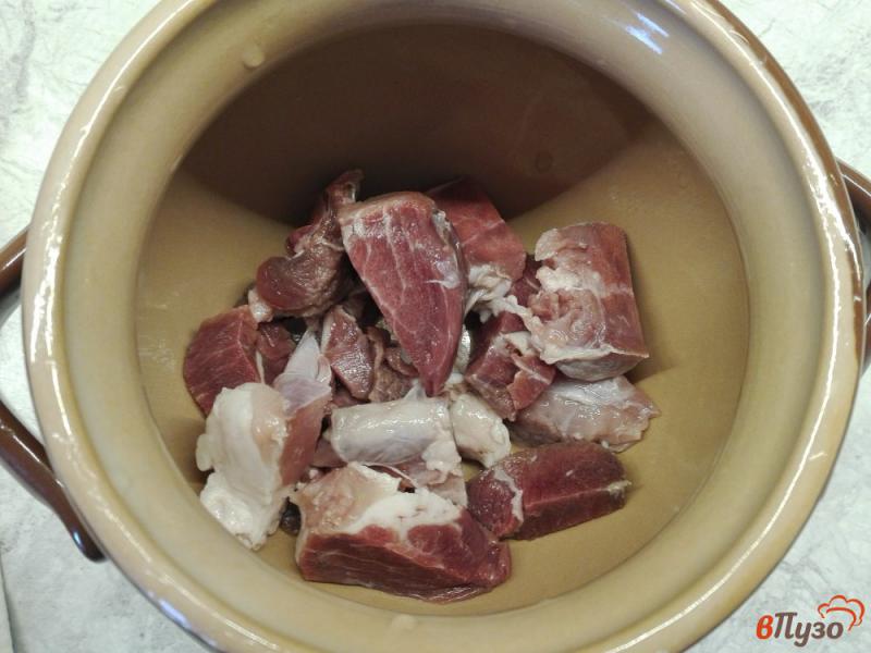 Фото приготовление рецепта: Жаркое из свинины с овощами и белыми грибами шаг №1