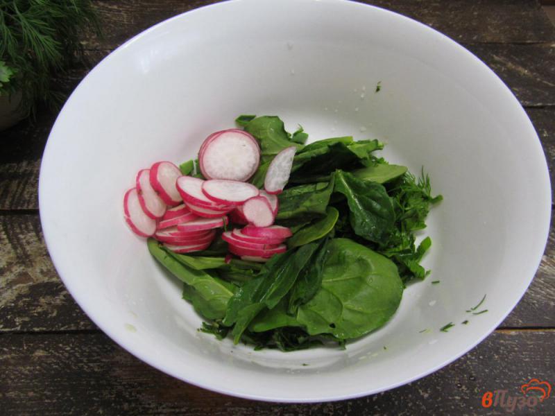 Фото приготовление рецепта: Салат «Майский» из зелени с редисом шаг №4