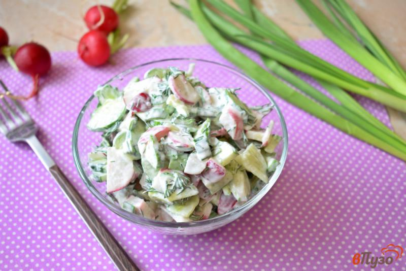 Фото приготовление рецепта: Весенний салат из овощей с редисом шаг №5