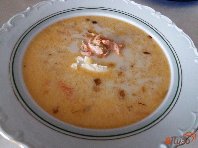 Фото приготовление рецепта: Сливочный суп из форели шаг №17