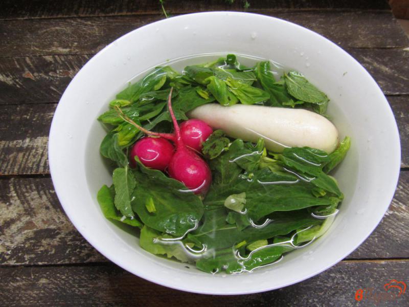 Фото приготовление рецепта: Салат из весенней зелени и овощей шаг №1