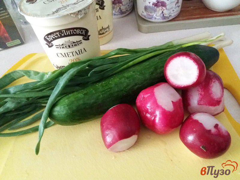 Фото приготовление рецепта: Салат весенний из редиски и огурцов шаг №1