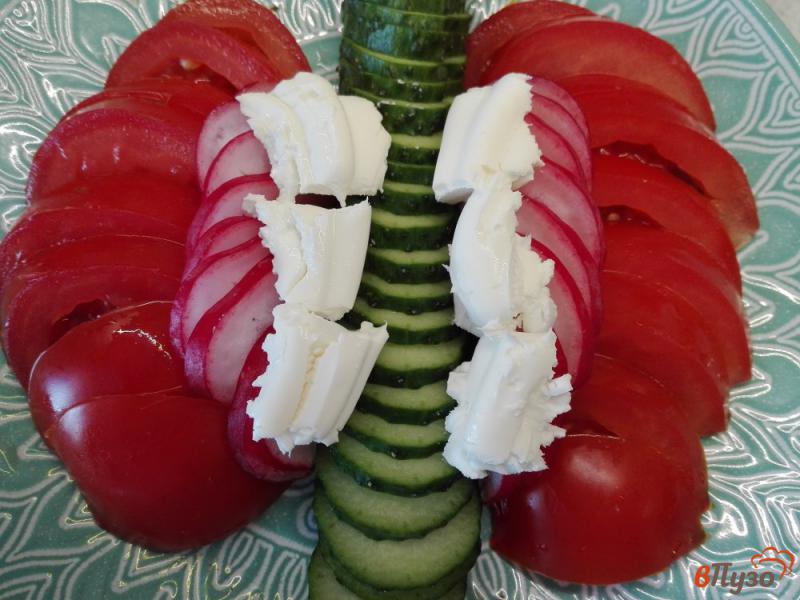 Фото приготовление рецепта: Овощной салат с мягким творогом, кунжутом и семенами чиа шаг №4