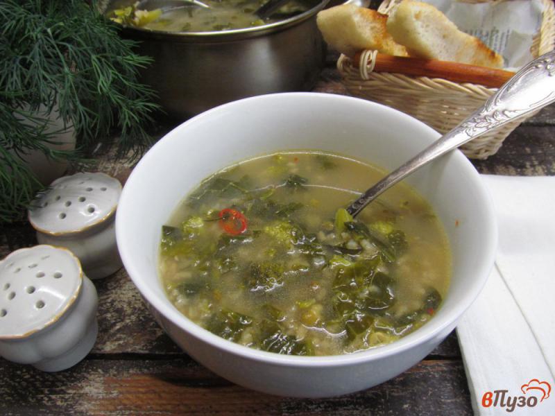 Фото приготовление рецепта: Суп на овощном бульоне с рисом и машем шаг №9