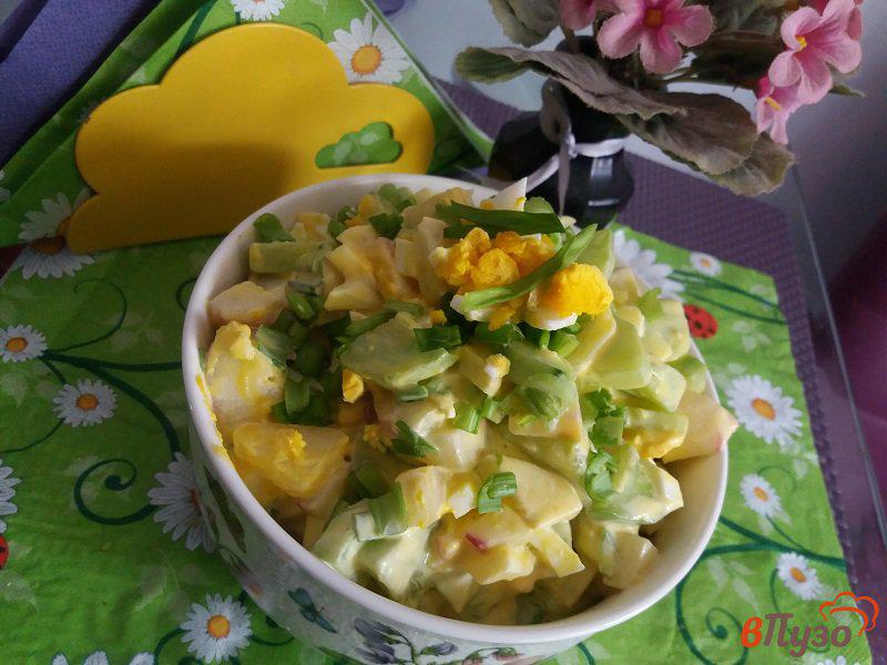 Фото приготовление рецепта: Салат Весенний с редиской и отварным яйцом шаг №9