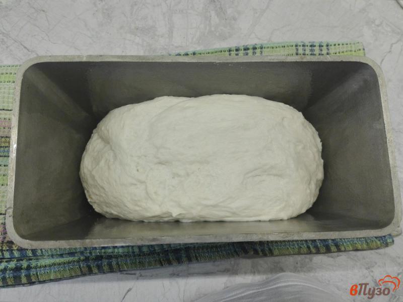 Фото приготовление рецепта: Белый хлеб на молоке шаг №7