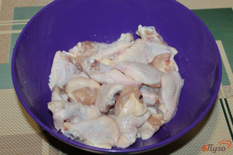 Фото приготовление рецепта: Куриные крылья с паприкой на гриле к пиву шаг №1