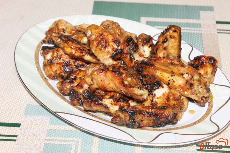 Фото приготовление рецепта: Куриные крылья с паприкой на гриле к пиву шаг №5