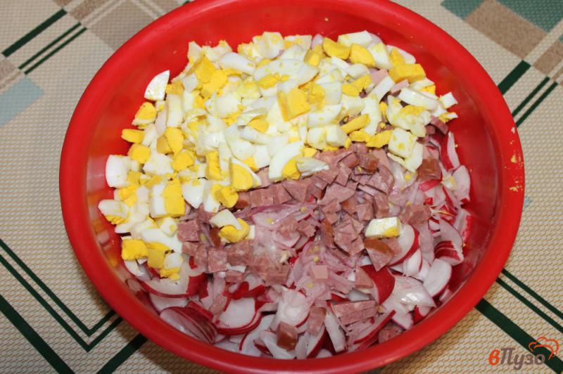Фото приготовление рецепта: Салат из редиса с яйцами и колбасой шаг №4