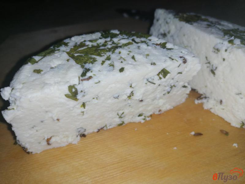 Фото приготовление рецепта: Домашний сыр с петрушкой и тмином шаг №11