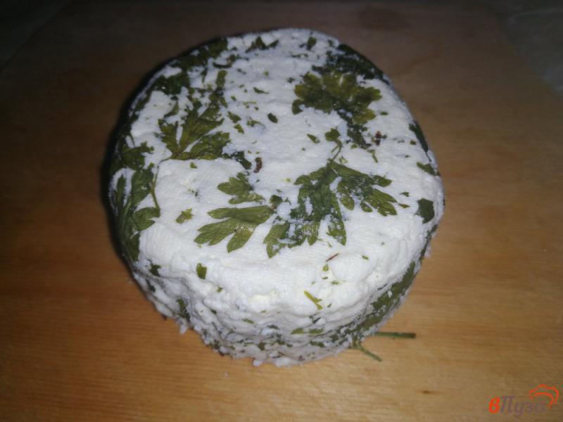 Фото приготовление рецепта: Домашний сыр с петрушкой и тмином шаг №9