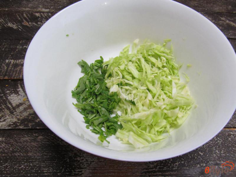 Фото приготовление рецепта: Салат из молодой капусты с грибами шаг №1