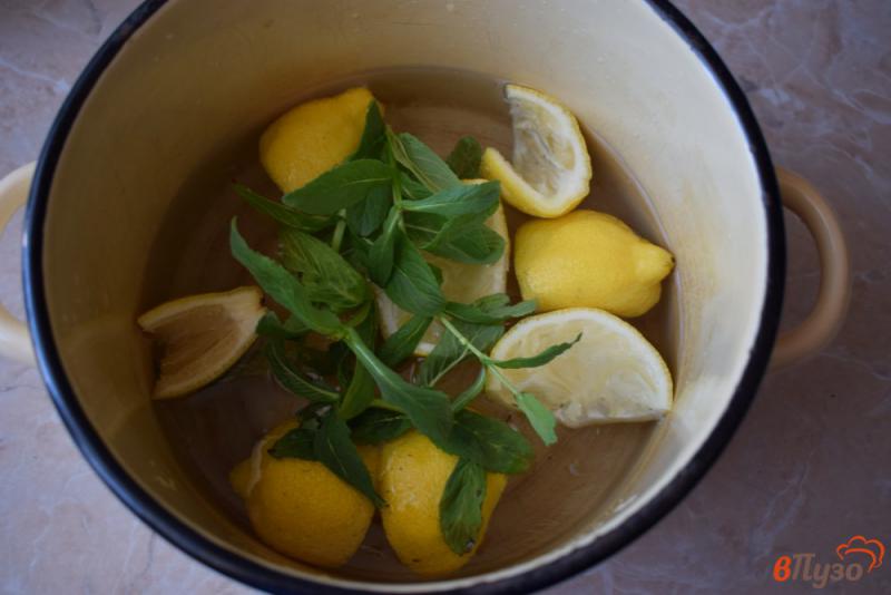 Фото приготовление рецепта: Лимонный напиток с мятой шаг №2