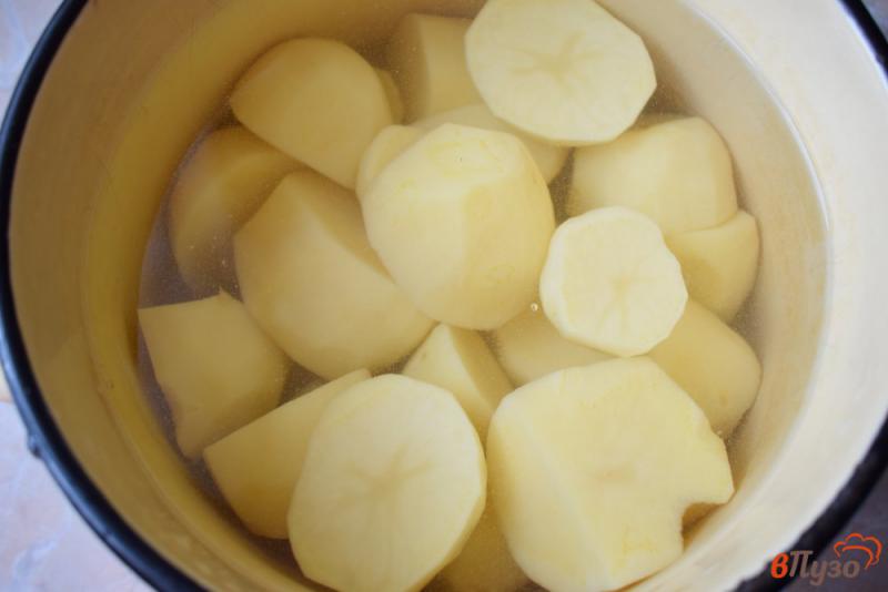 Фото приготовление рецепта: Котлеты из картофельного пюре шаг №1