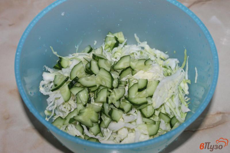 Фото приготовление рецепта: Салат из капусты с зеленью и лимонным соком шаг №2