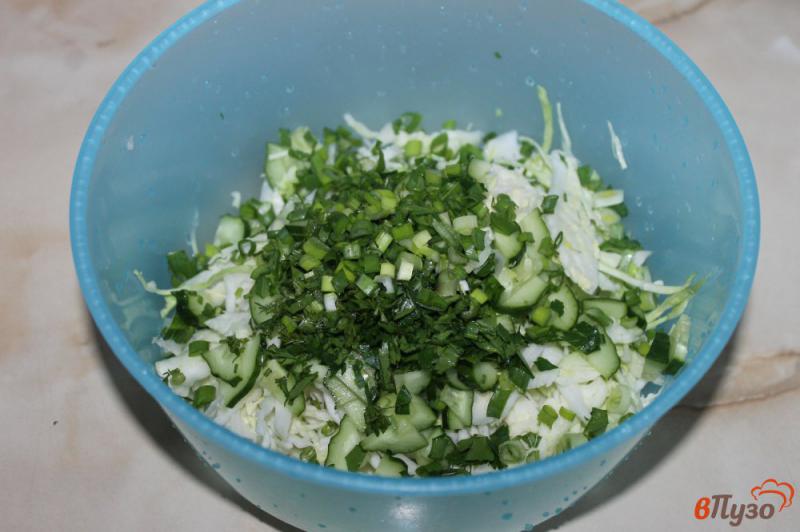 Фото приготовление рецепта: Салат из капусты с зеленью и лимонным соком шаг №3