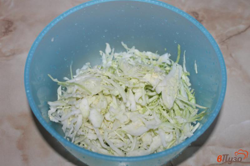Фото приготовление рецепта: Салат из капусты с зеленью и лимонным соком шаг №1