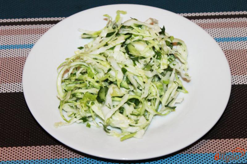 Фото приготовление рецепта: Салат из капусты с зеленью и лимонным соком шаг №5