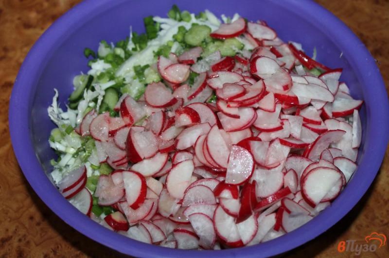 Фото приготовление рецепта: Салат из пекинской капусты с редисом и огурцом шаг №4