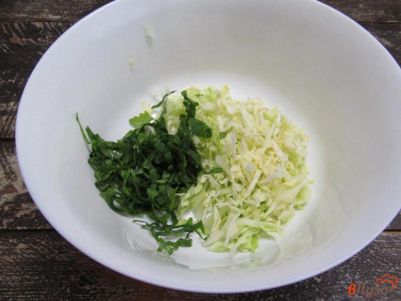 Фото приготовление рецепта: Капустный салат с оливками и моцареллой шаг №1