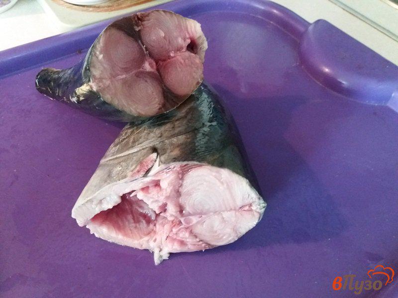 Фото приготовление рецепта: Уха из рыбы Пеламида шаг №1