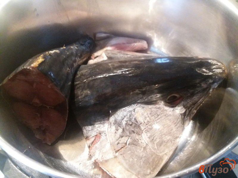 Фото приготовление рецепта: Уха из рыбы Пеламида шаг №2