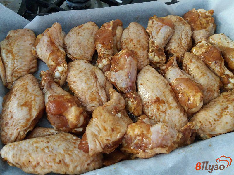 Фото приготовление рецепта: Куриные крылья барбекю шаг №5