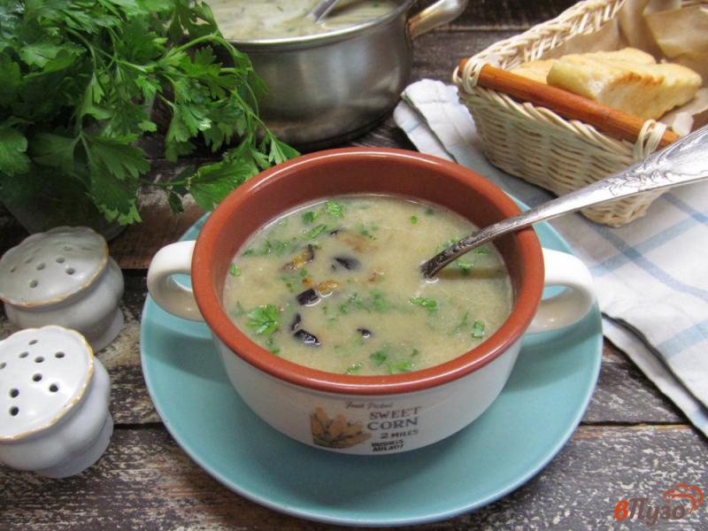 Фото приготовление рецепта: Суп из баклажанов с нутом шаг №8