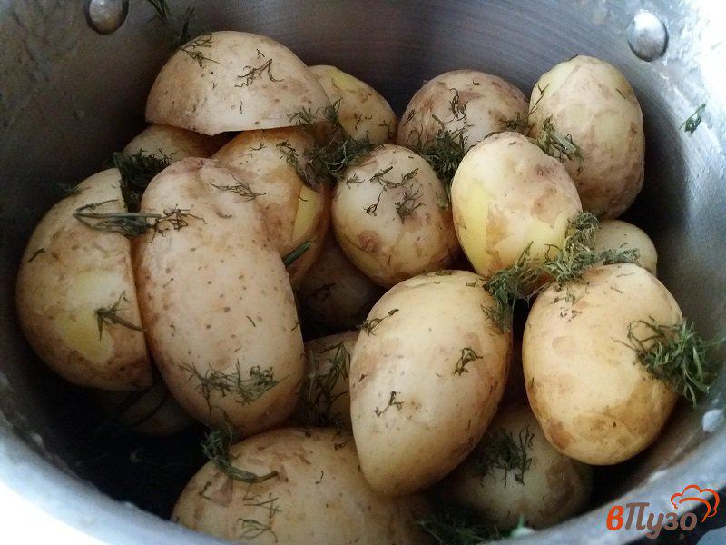 Фото приготовление рецепта: Молодой картофель с зажаркой из деревенского сала шаг №2