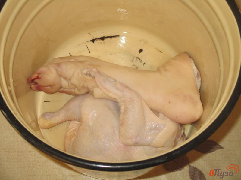 Фото приготовление рецепта: Холодец из курицы и свиной ноги шаг №1
