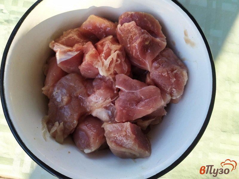 Фото приготовление рецепта: Шашлык  из свинины на мангале шаг №1