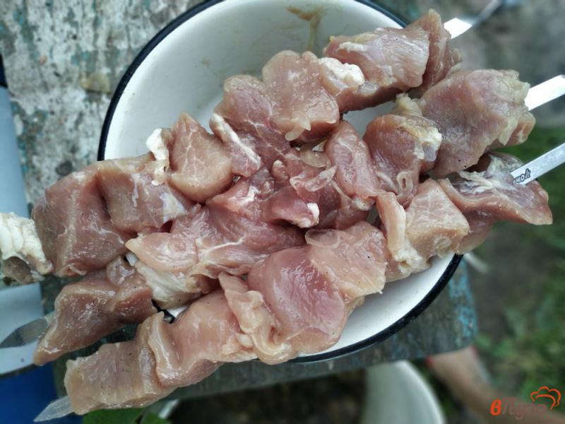 Фото приготовление рецепта: Шашлык  из свинины на мангале шаг №2