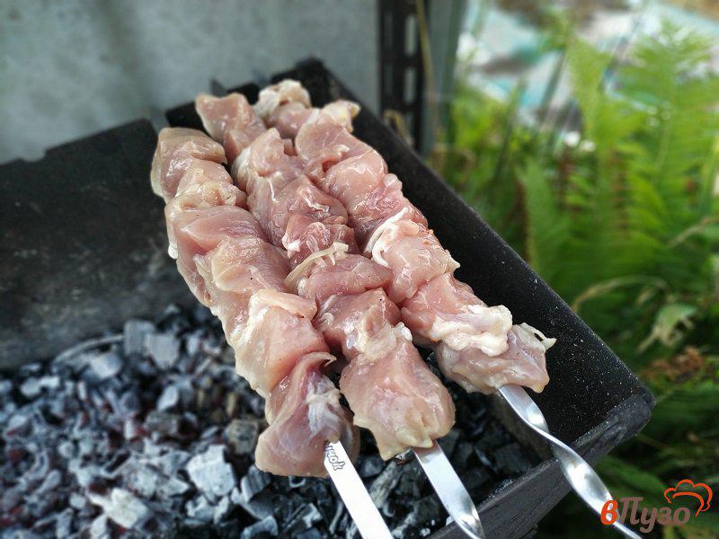 Фото приготовление рецепта: Шашлык  из свинины на мангале шаг №3