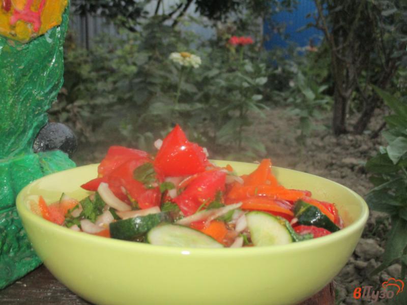 Фото приготовление рецепта: Маринованный овощной салат шаг №6